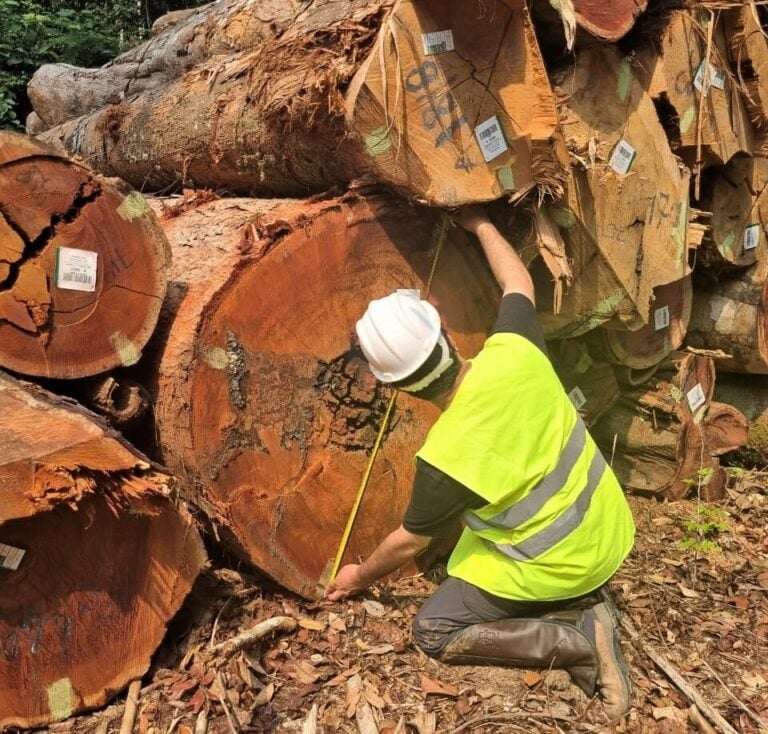 Forestry assessment